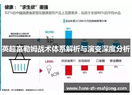 英超富勒姆战术体系解析与演变深度分析 英超富勒姆战术体系解析与演变深度分析