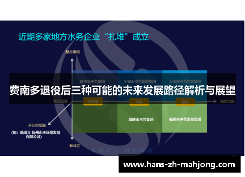 费南多退役后三种可能的未来发展路径解析与展望
