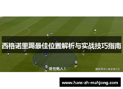 西格诺里踢最佳位置解析与实战技巧指南 西格诺里踢最佳位置解析与实战技巧指南