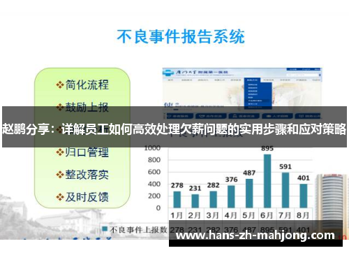 赵鹏分享：详解员工如何高效处理欠薪问题的实用步骤和应对策略