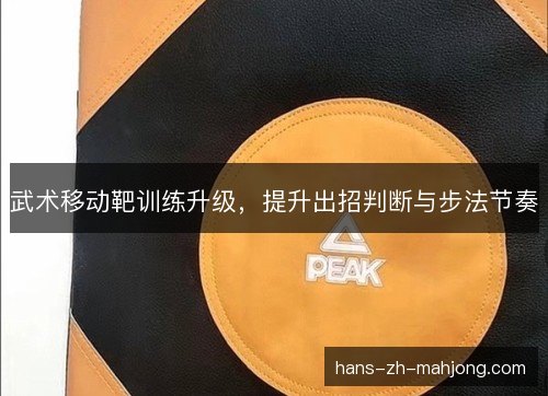 武术移动靶训练升级，提升出招判断与步法节奏